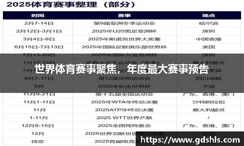 世界体育赛事聚焦，年度最大赛事预告