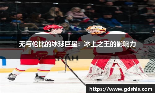 无与伦比的冰球巨星：冰上之王的影响力